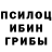 Галлюциногенные грибы мухоморы Andrew Grasman