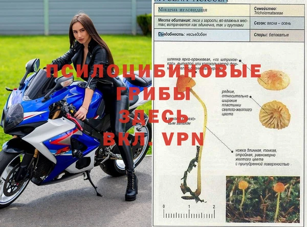 MDMA Premium VHQ Алексин