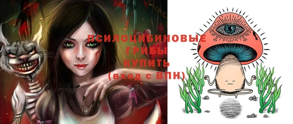 таблы Алзамай
